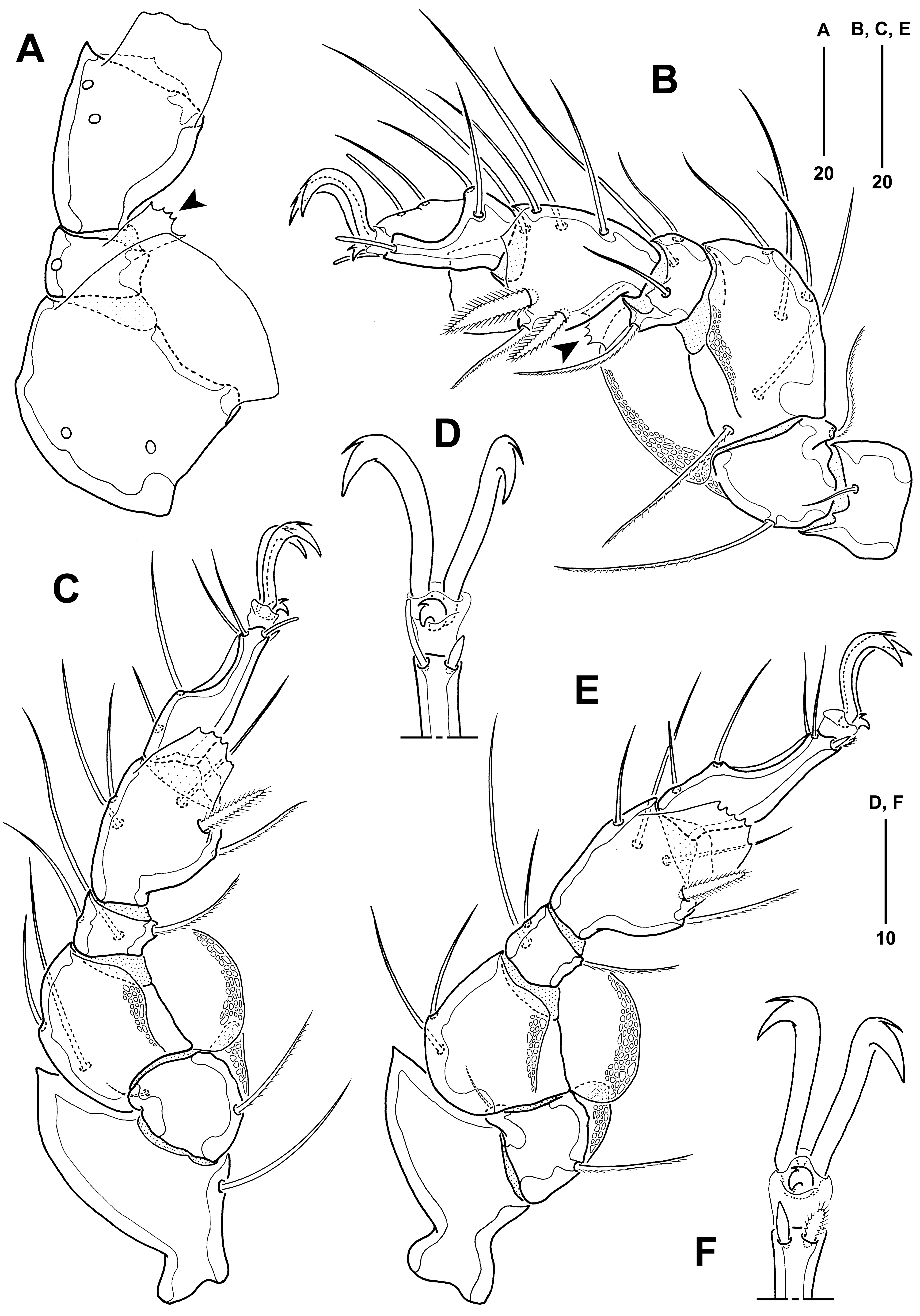 Jmse 11 00964 g004 Jmse 11 00964 g004