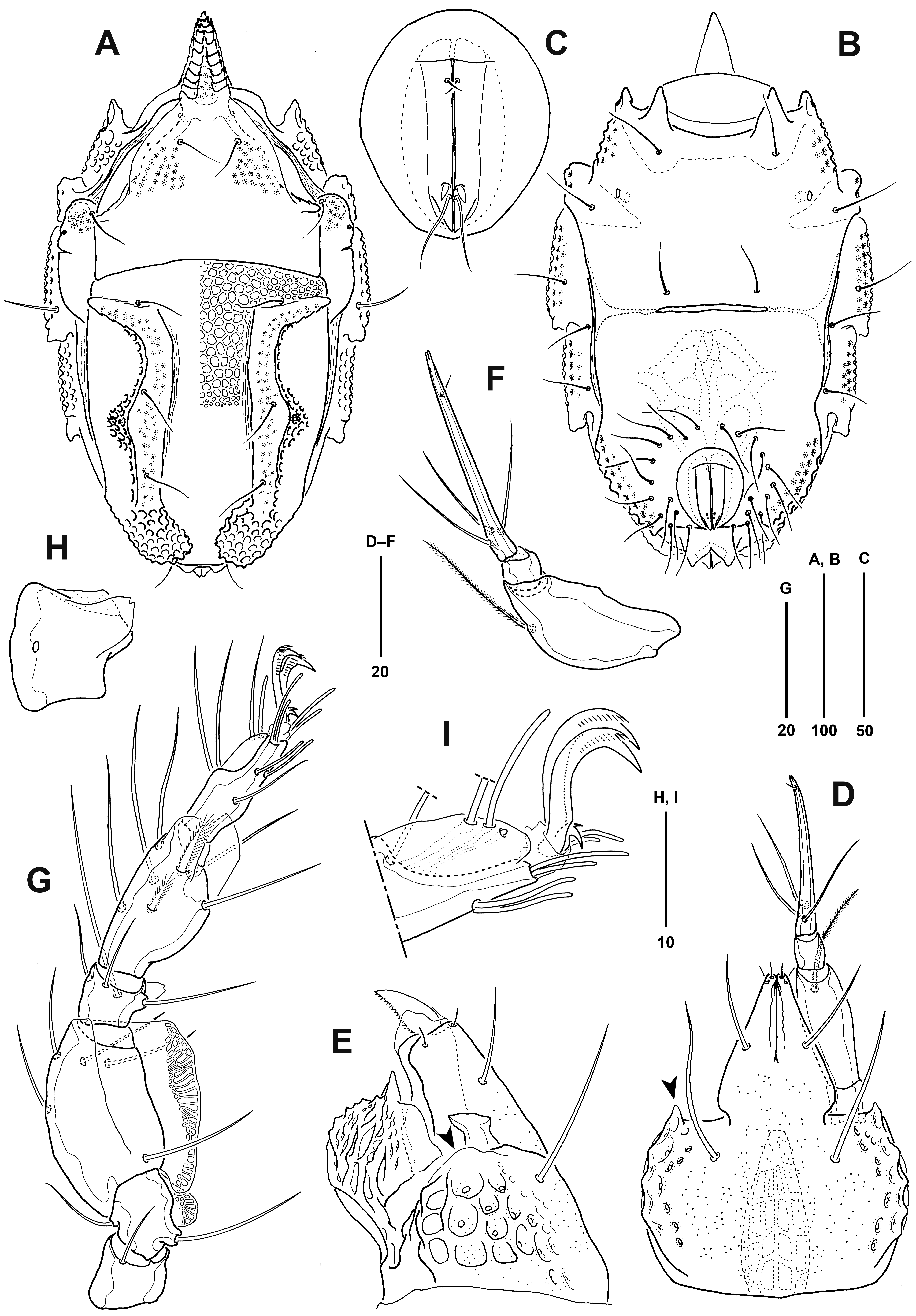 Jmse 11 00964 g006 Jmse 11 00964 g006