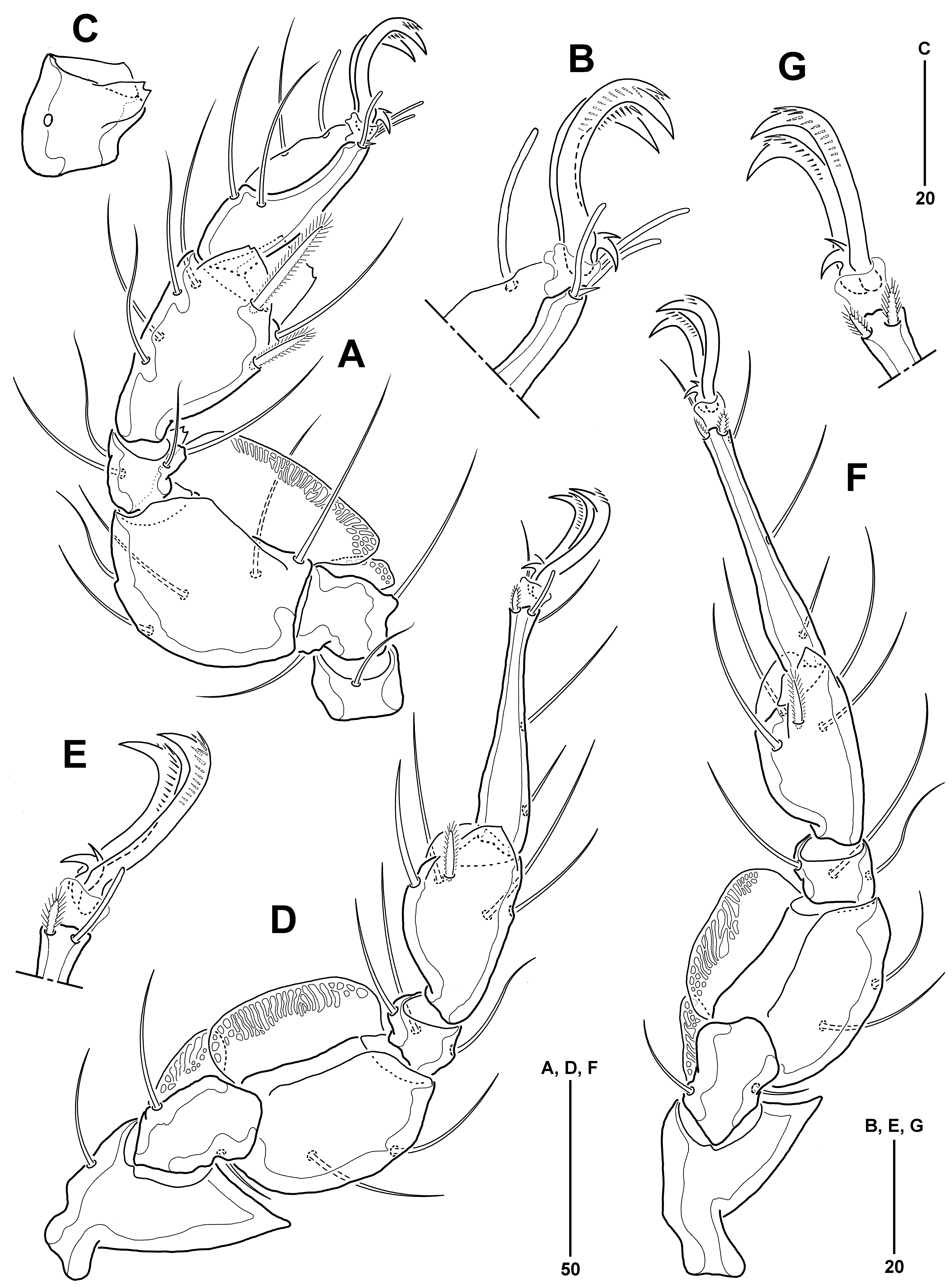 Jmse 11 00964 g007 Jmse 11 00964 g007
