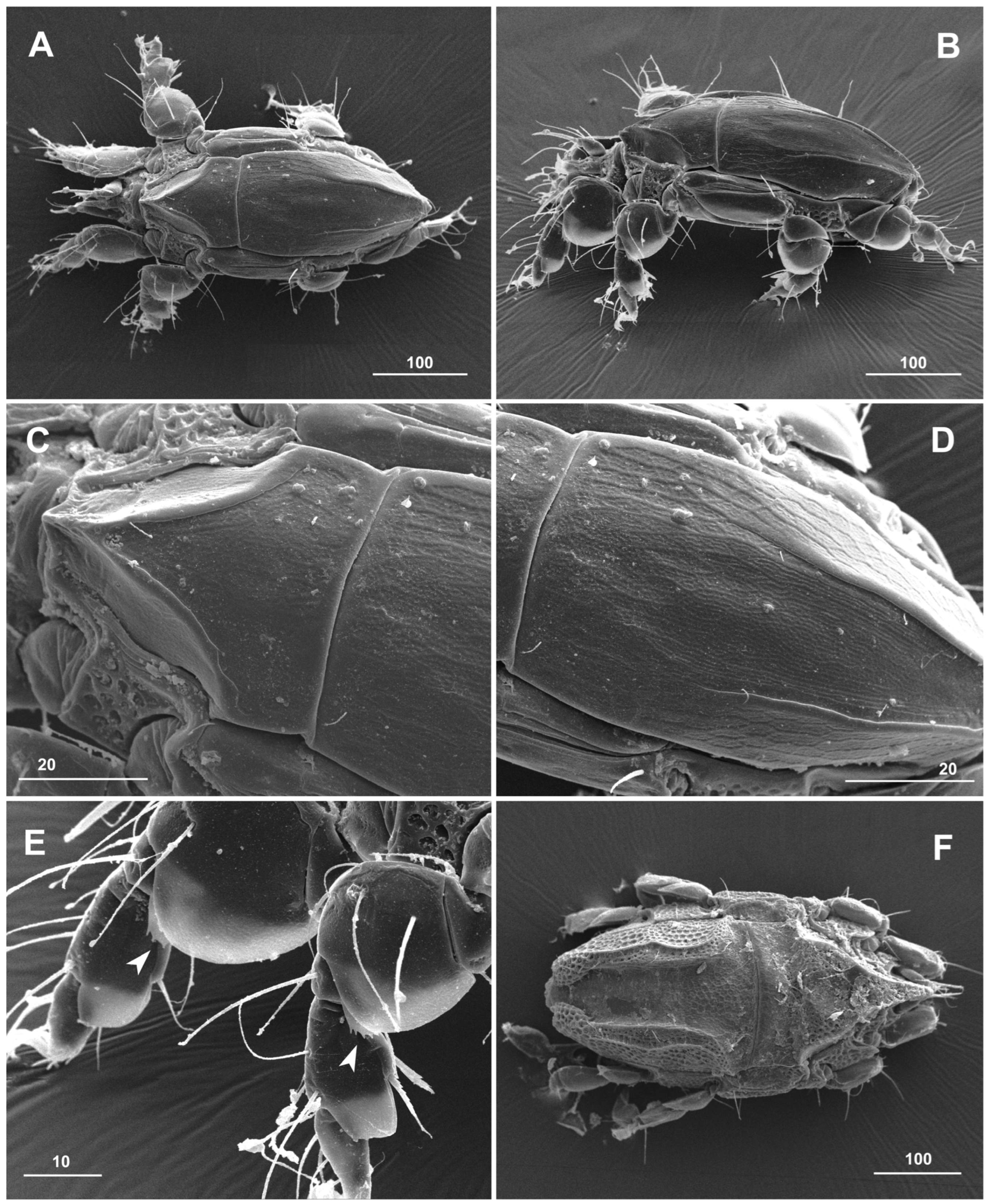 Jmse 11 00964 g008 Jmse 11 00964 g008