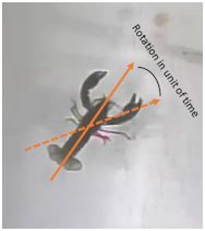 Jmse 11 01147 i007 Jmse 11 01147 i007