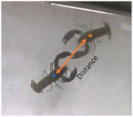 Jmse 11 01147 i008 Jmse 11 01147 i008