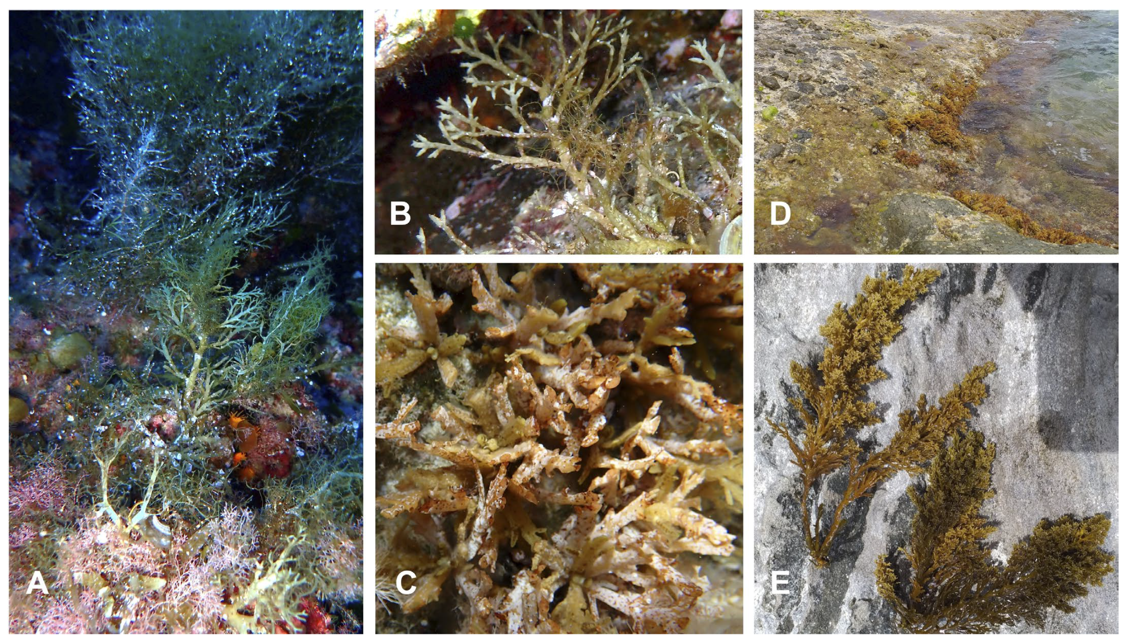 Jmse 11 02222 g003 Jmse 11 02222 g003