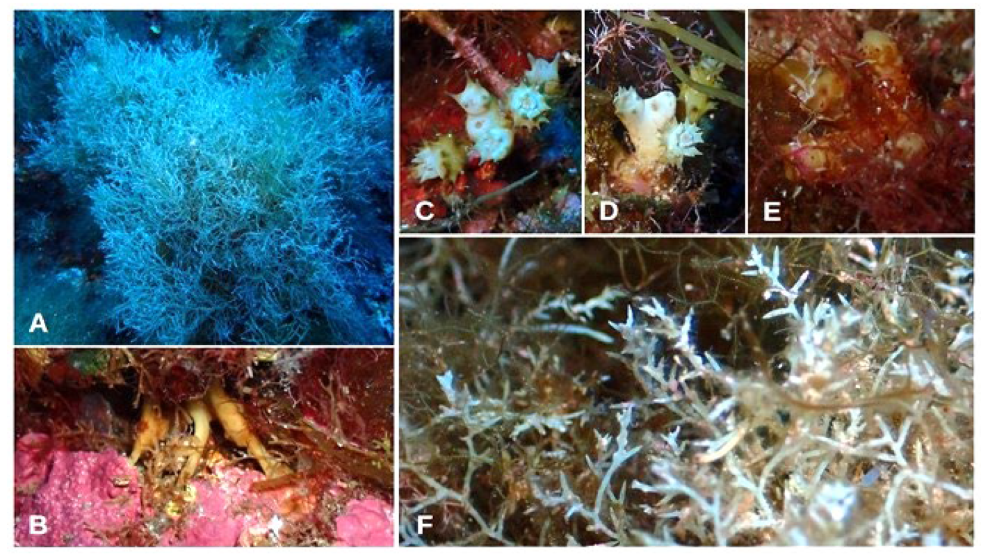 Jmse 11 02222 g009 Jmse 11 02222 g009