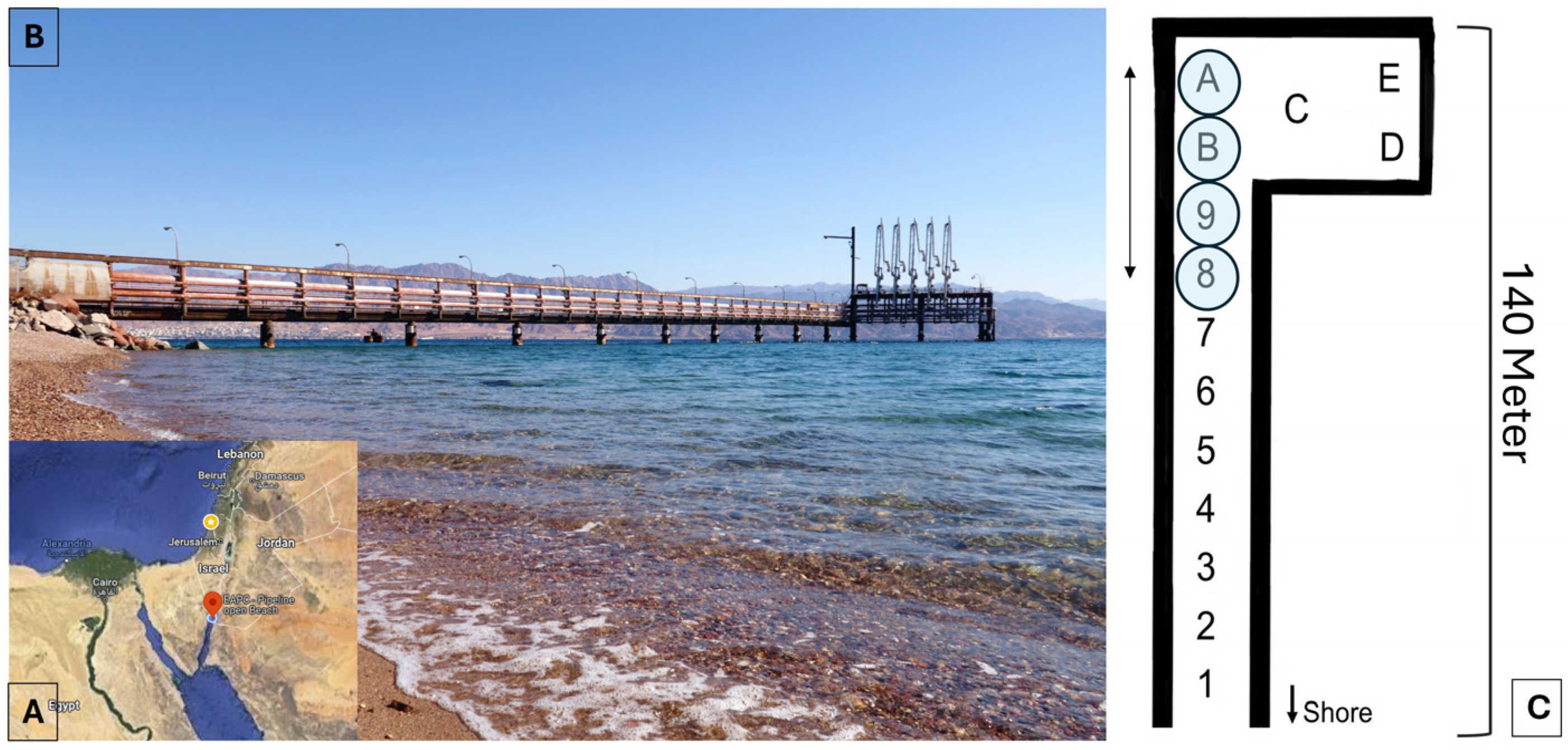 Jmse 12 00186 g001 Jmse 12 00186 g001