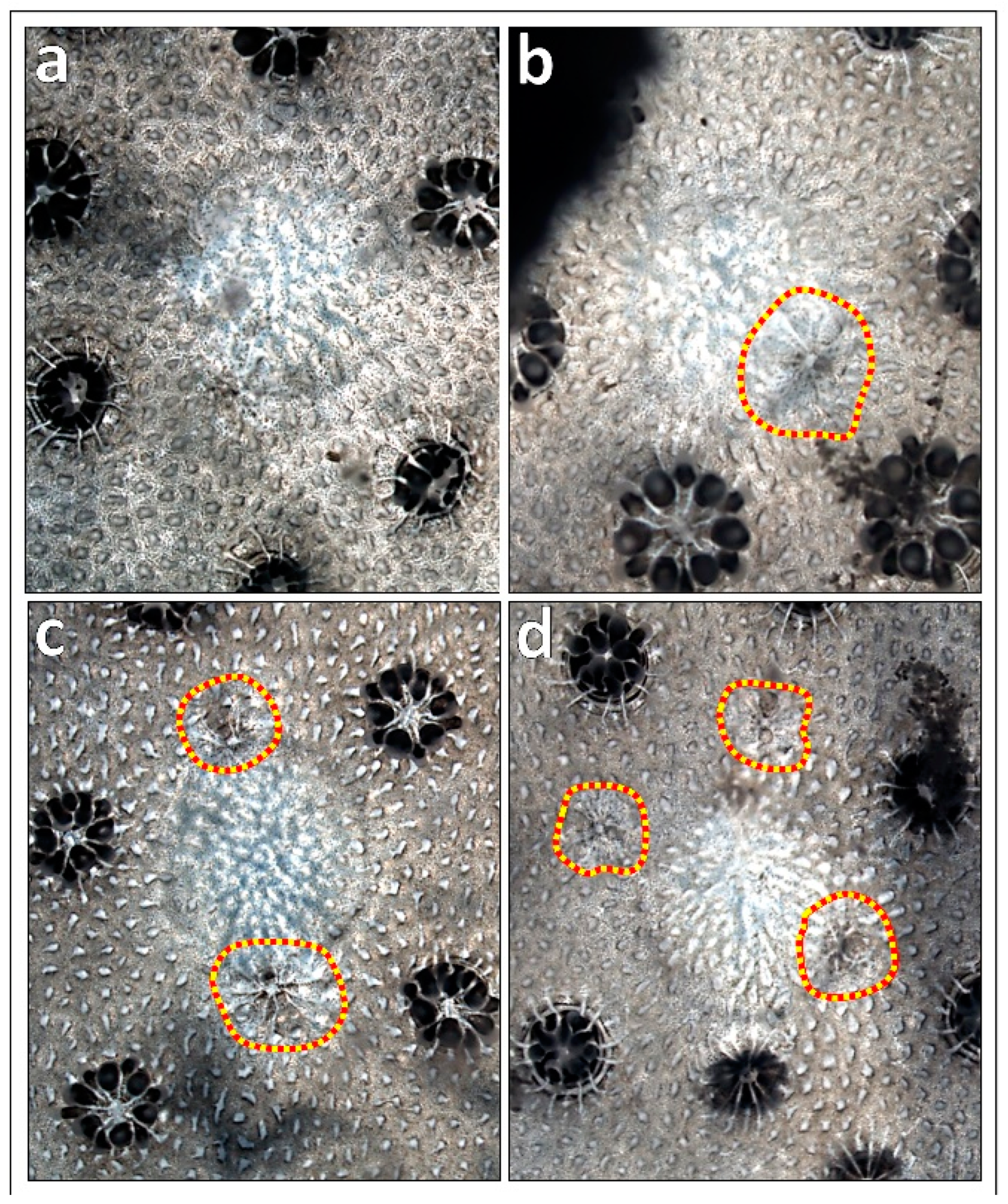 Jmse 12 00343 g004 Jmse 12 00343 g004