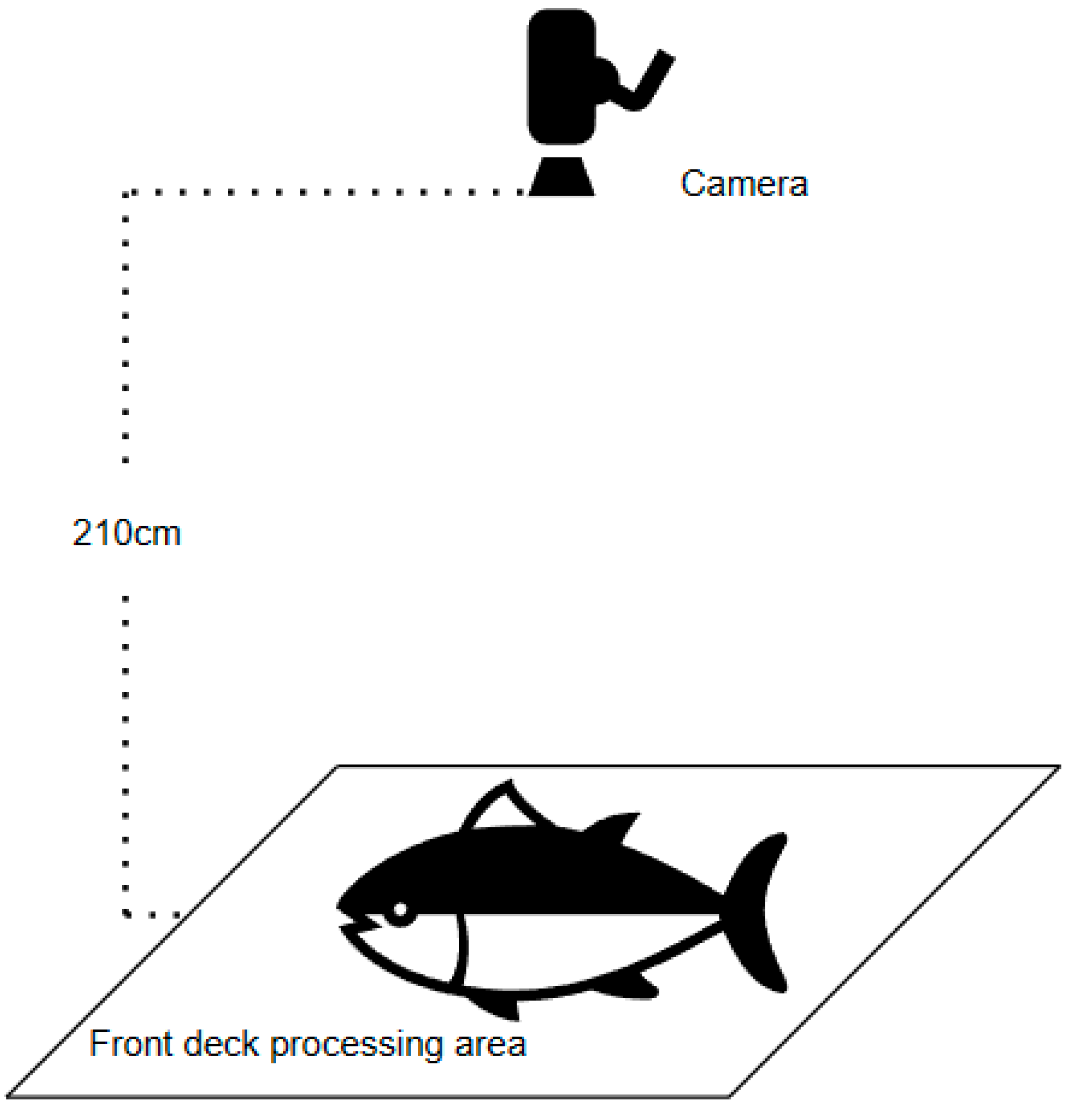 Jmse 12 00784 g001 Jmse 12 00784 g001
