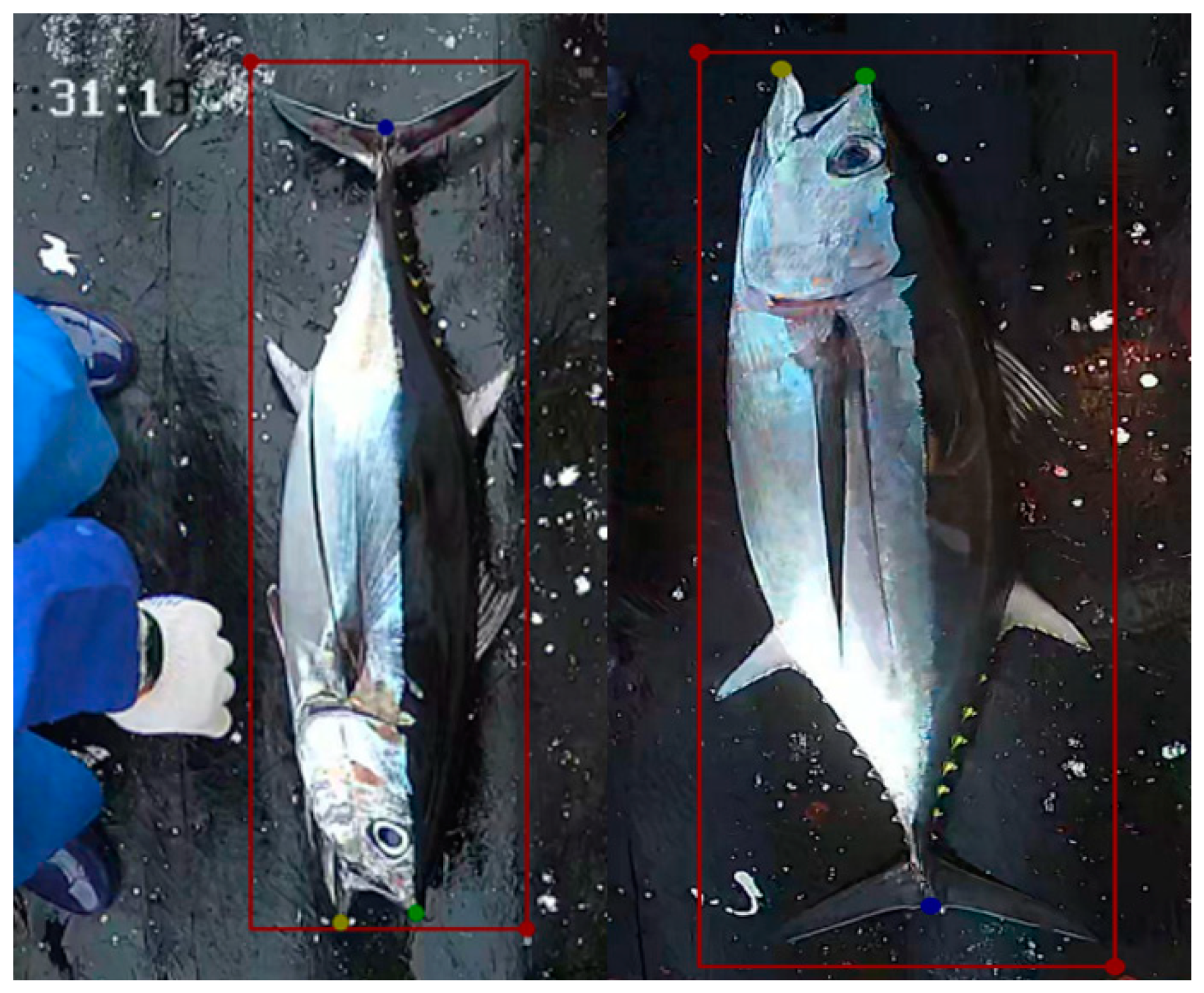 Jmse 12 00784 g002 Jmse 12 00784 g002