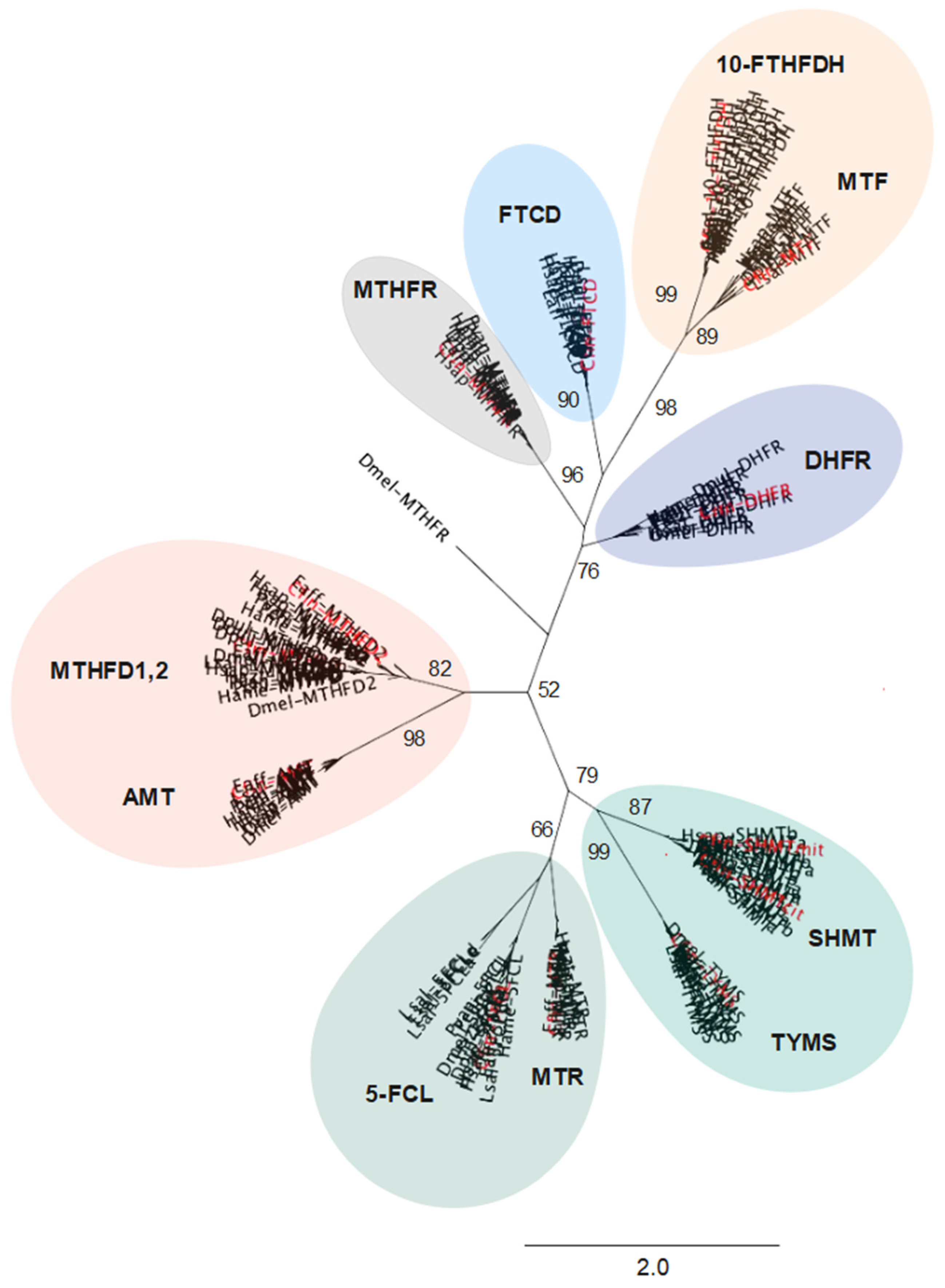 Jmse 12 00786 g002 Jmse 12 00786 g002