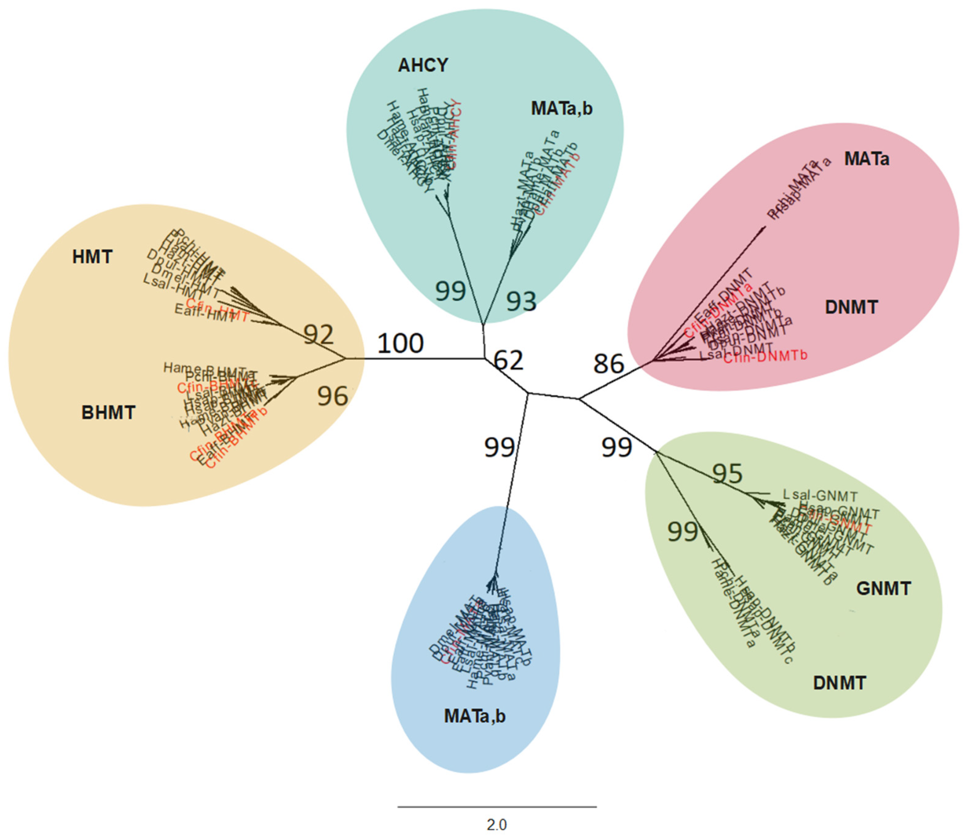 Jmse 12 00786 g003 Jmse 12 00786 g003
