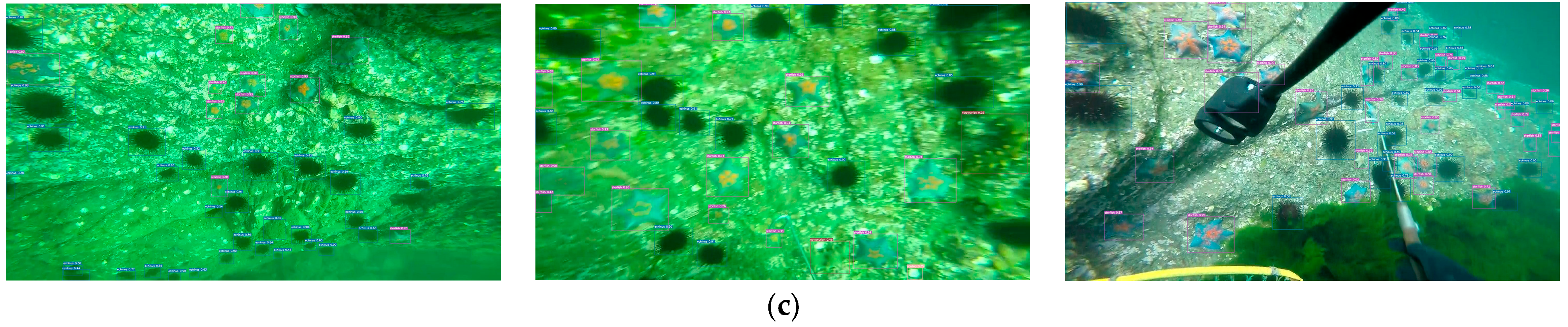 Jmse 12 01127 g008c Jmse 12 01127 g008c