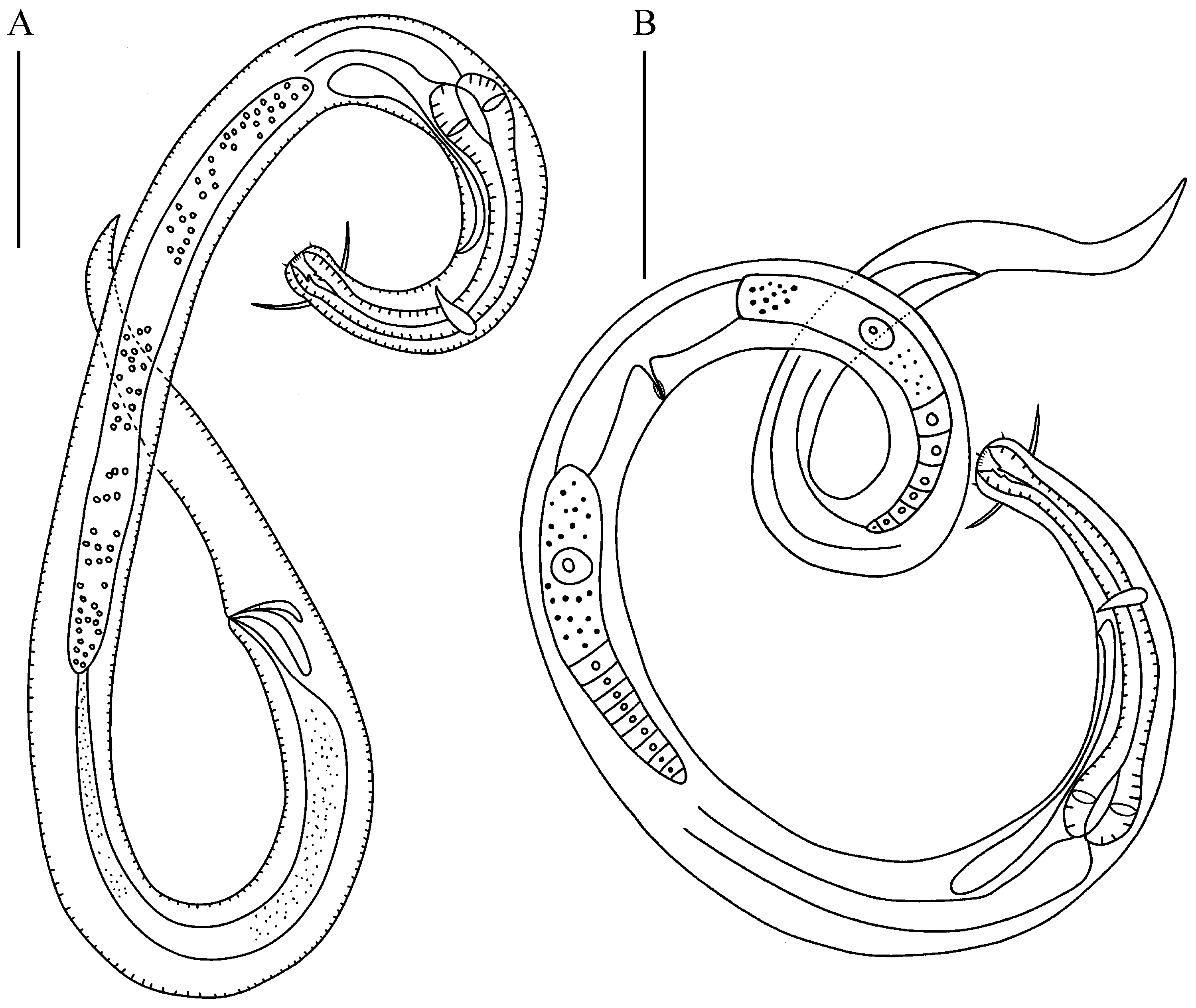 Jmse 13 00867 g004 Jmse 13 00867 g004