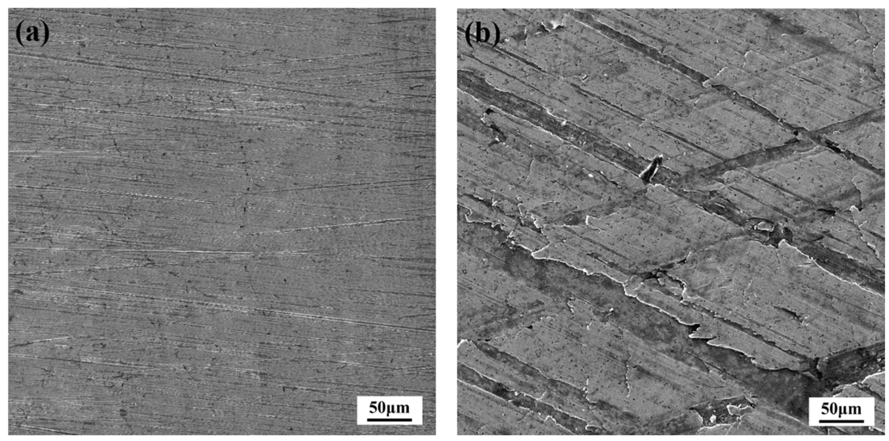 Jmse 13 00912 g001