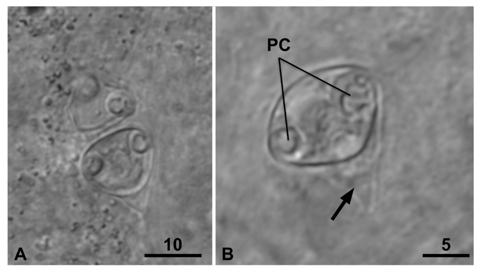 Jmse 13 01401 g003 Jmse 13 01401 g003