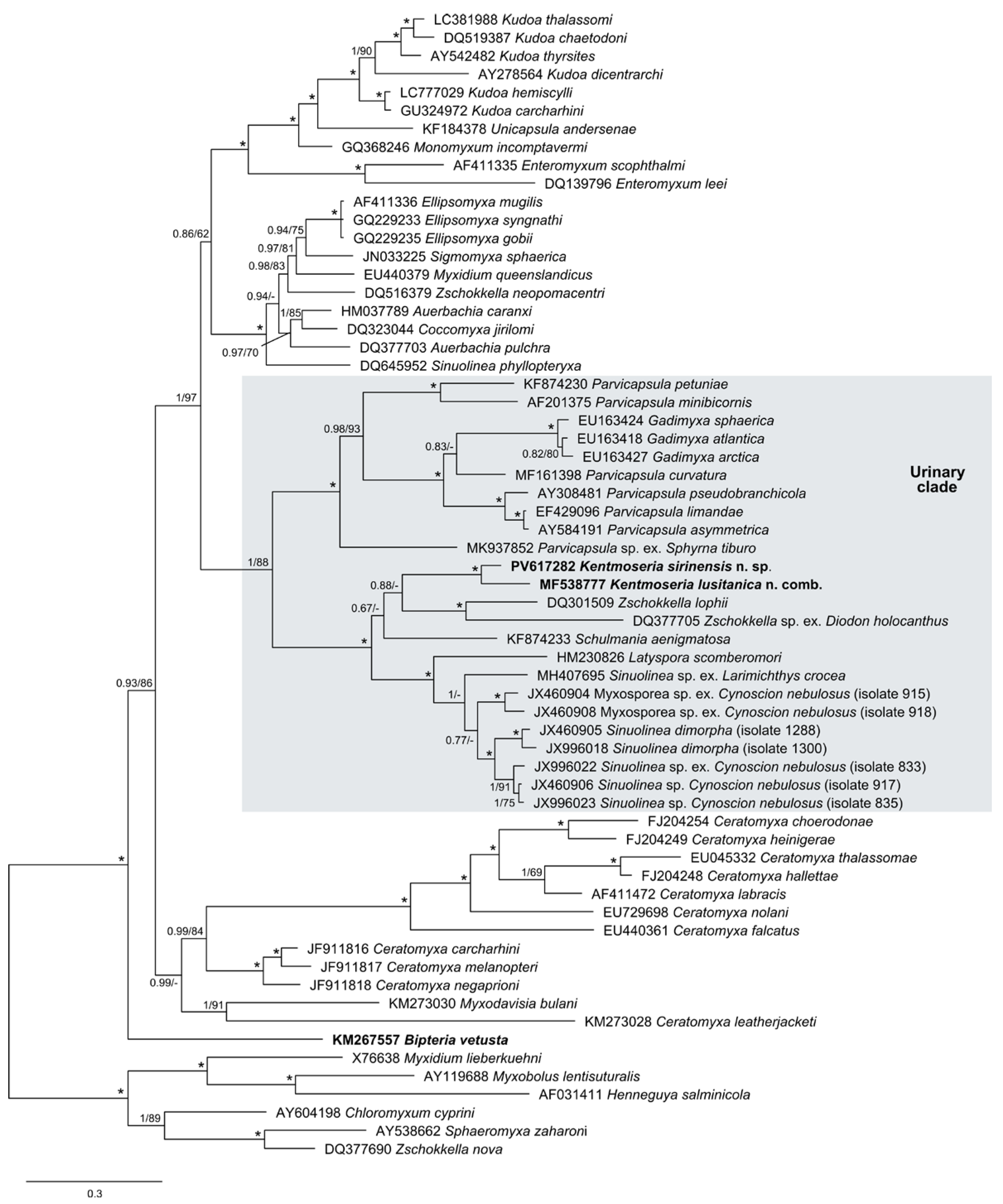 Jmse 13 01401 g004 Jmse 13 01401 g004