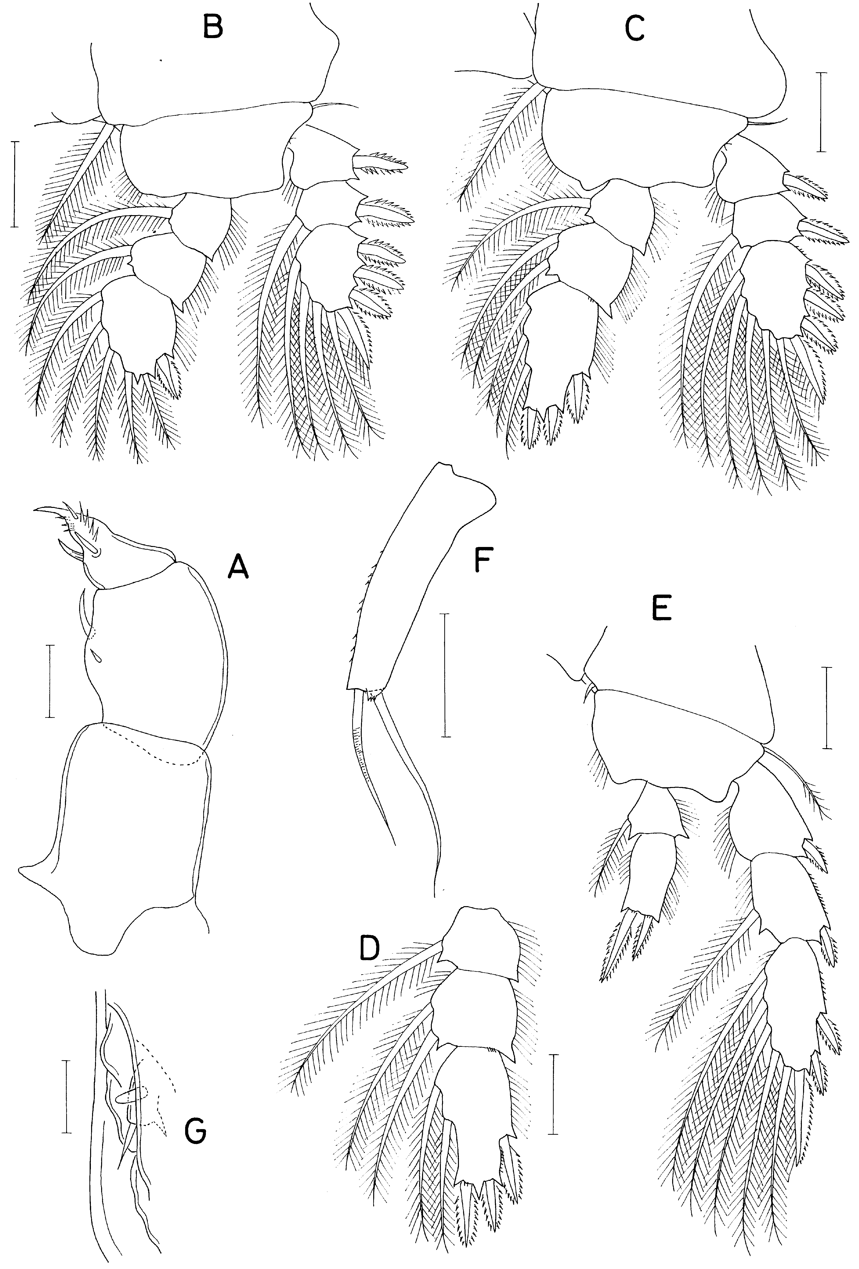 Jmse 13 01600 g003