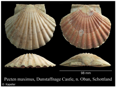 Jmse 13 01693 i008