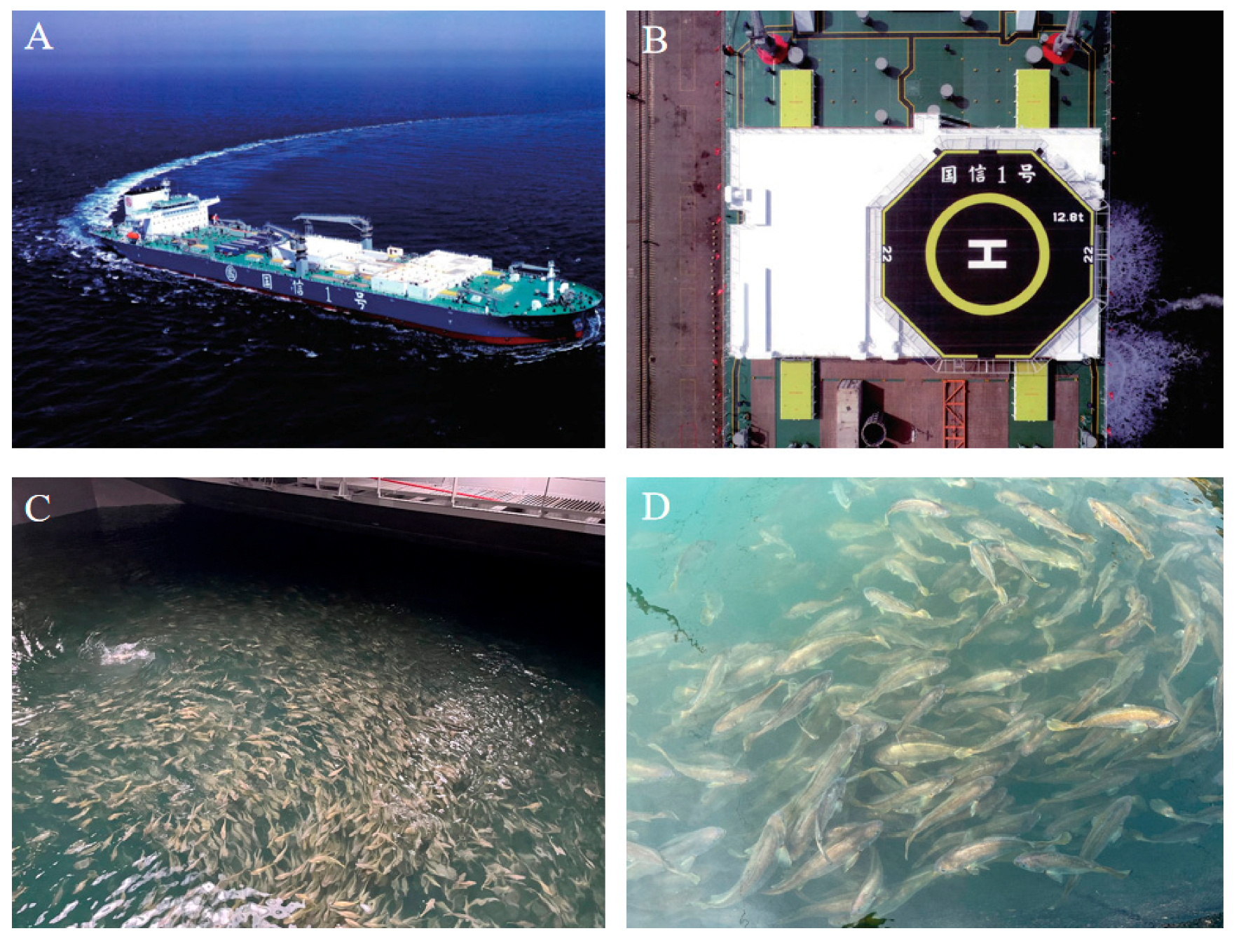 Jmse 13 01716 g001 Jmse 13 01716 g001