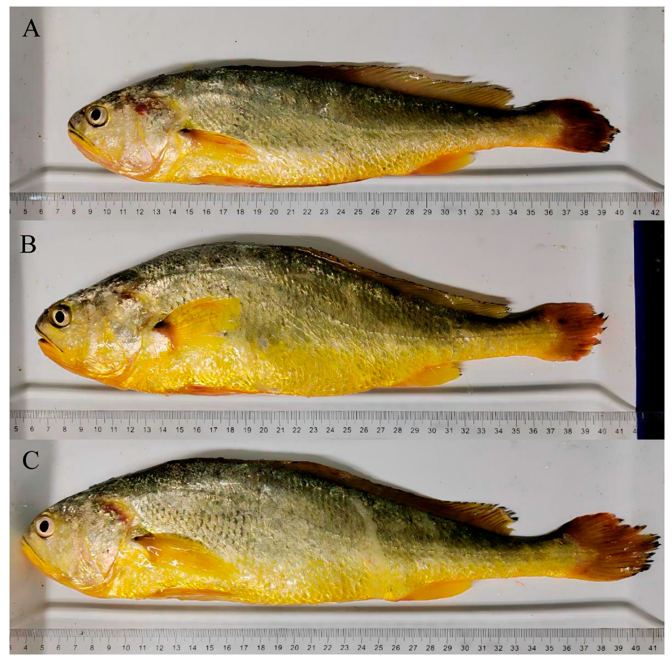 Jmse 13 01716 g002 Jmse 13 01716 g002