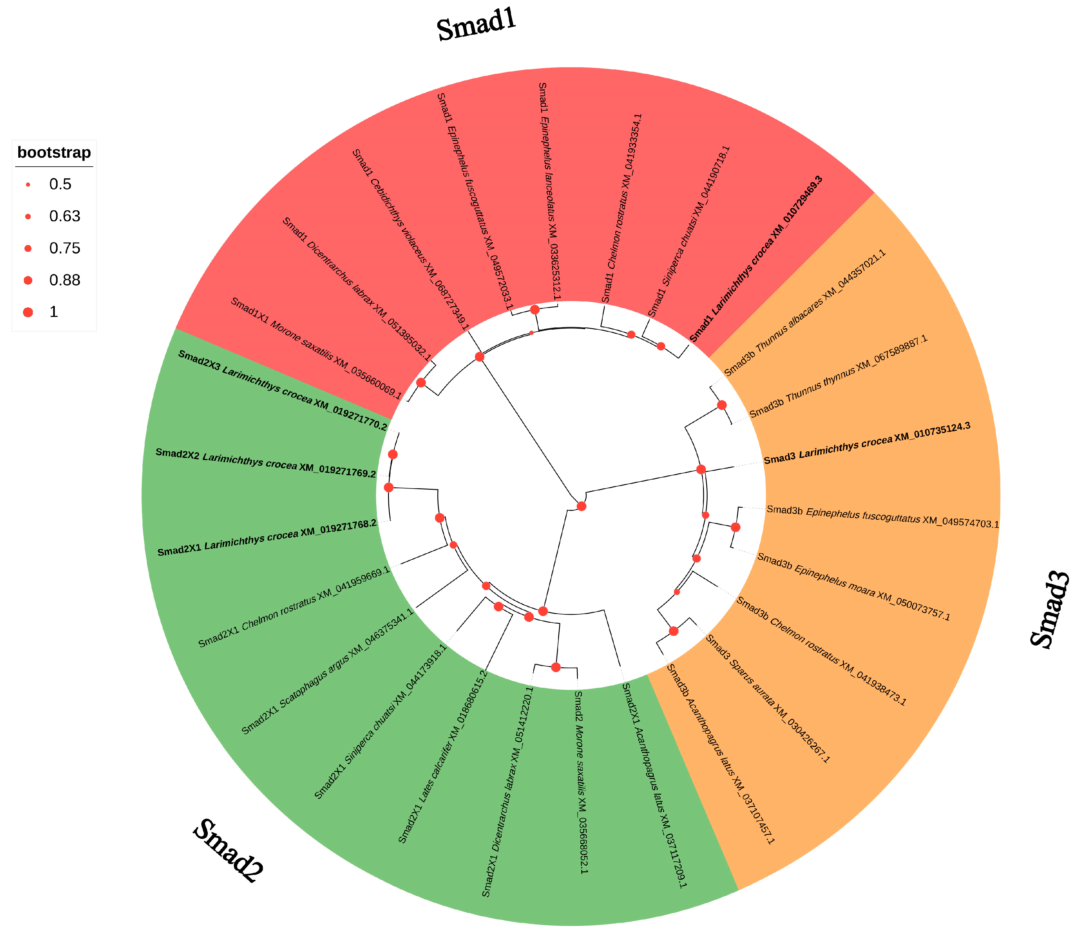 Jmse 13 01716 g006 Jmse 13 01716 g006