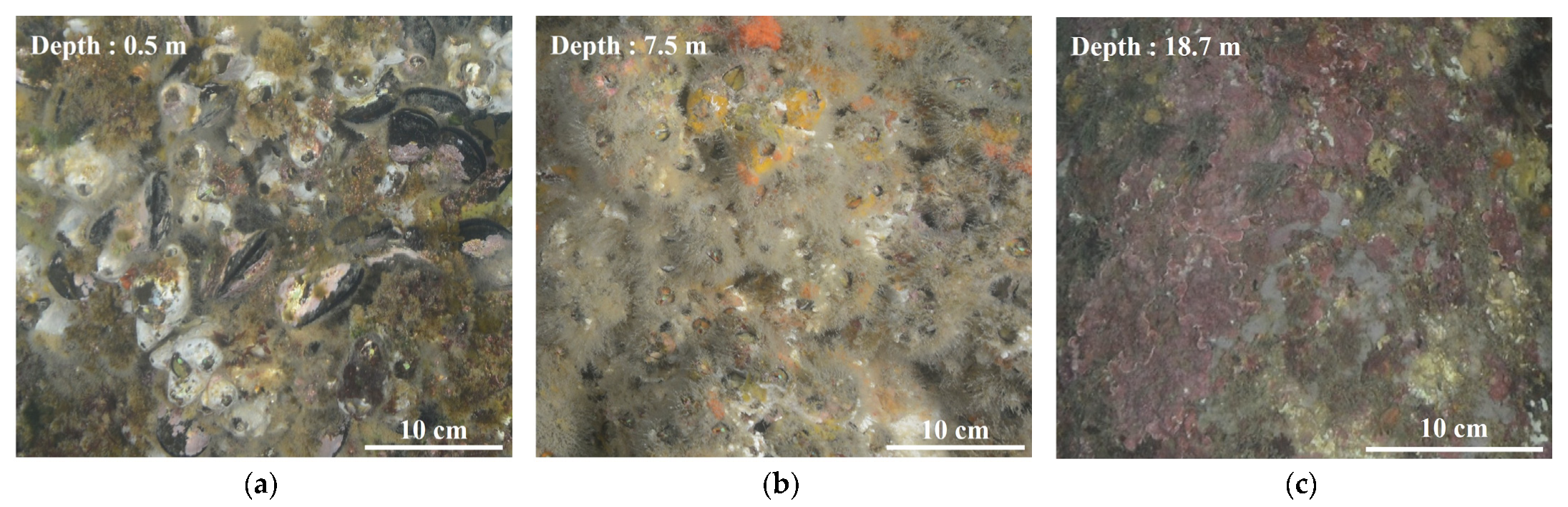 Jmse 13 01877 g004 Jmse 13 01877 g004