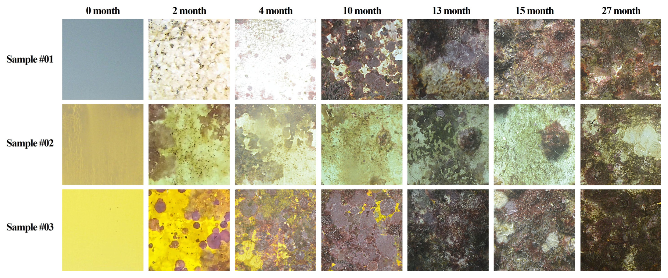 Jmse 13 01877 g007 Jmse 13 01877 g007