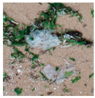 Jmse 13 01910 i003 Jmse 13 01910 i003