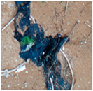 Jmse 13 01910 i004 Jmse 13 01910 i004