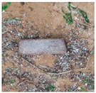 Jmse 13 01910 i006 Jmse 13 01910 i006