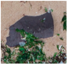 Jmse 13 01910 i007 Jmse 13 01910 i007