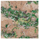 Jmse 13 01910 i008 Jmse 13 01910 i008