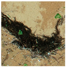 Jmse 13 01910 i009 Jmse 13 01910 i009