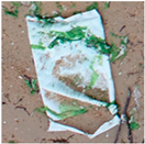 Jmse 13 01910 i010 Jmse 13 01910 i010