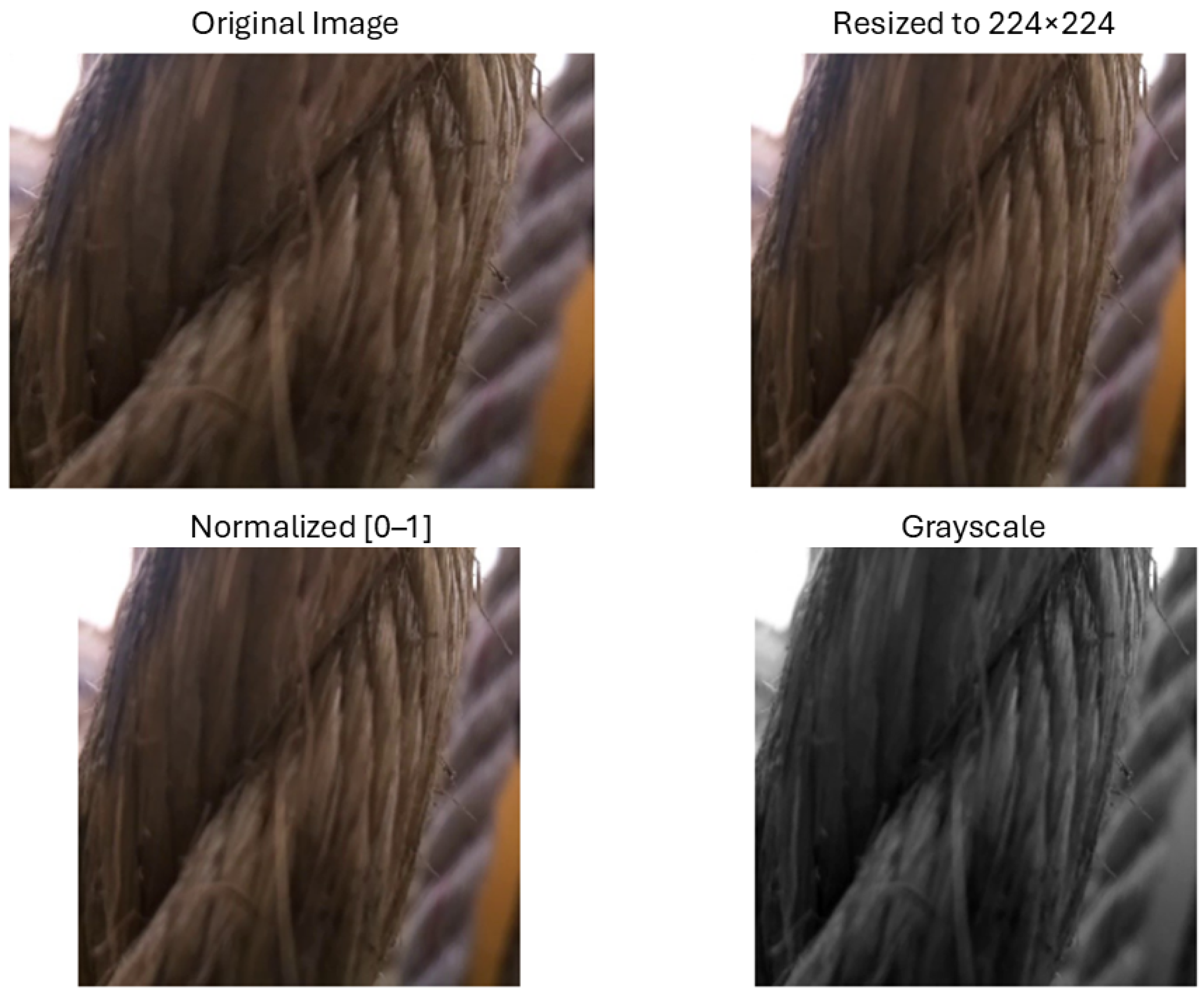 Jmse 13 02101 g004