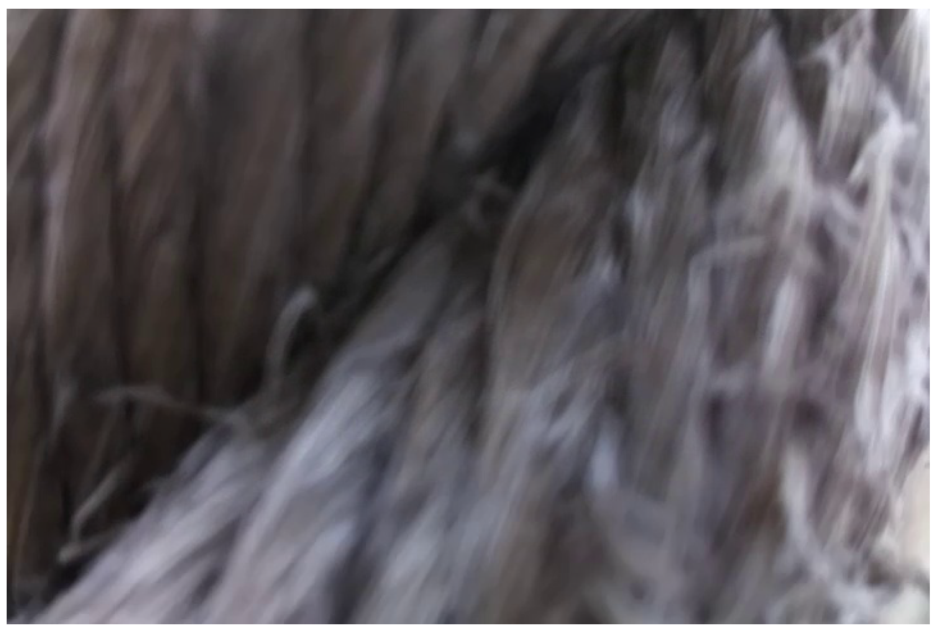 Jmse 13 02101 g014