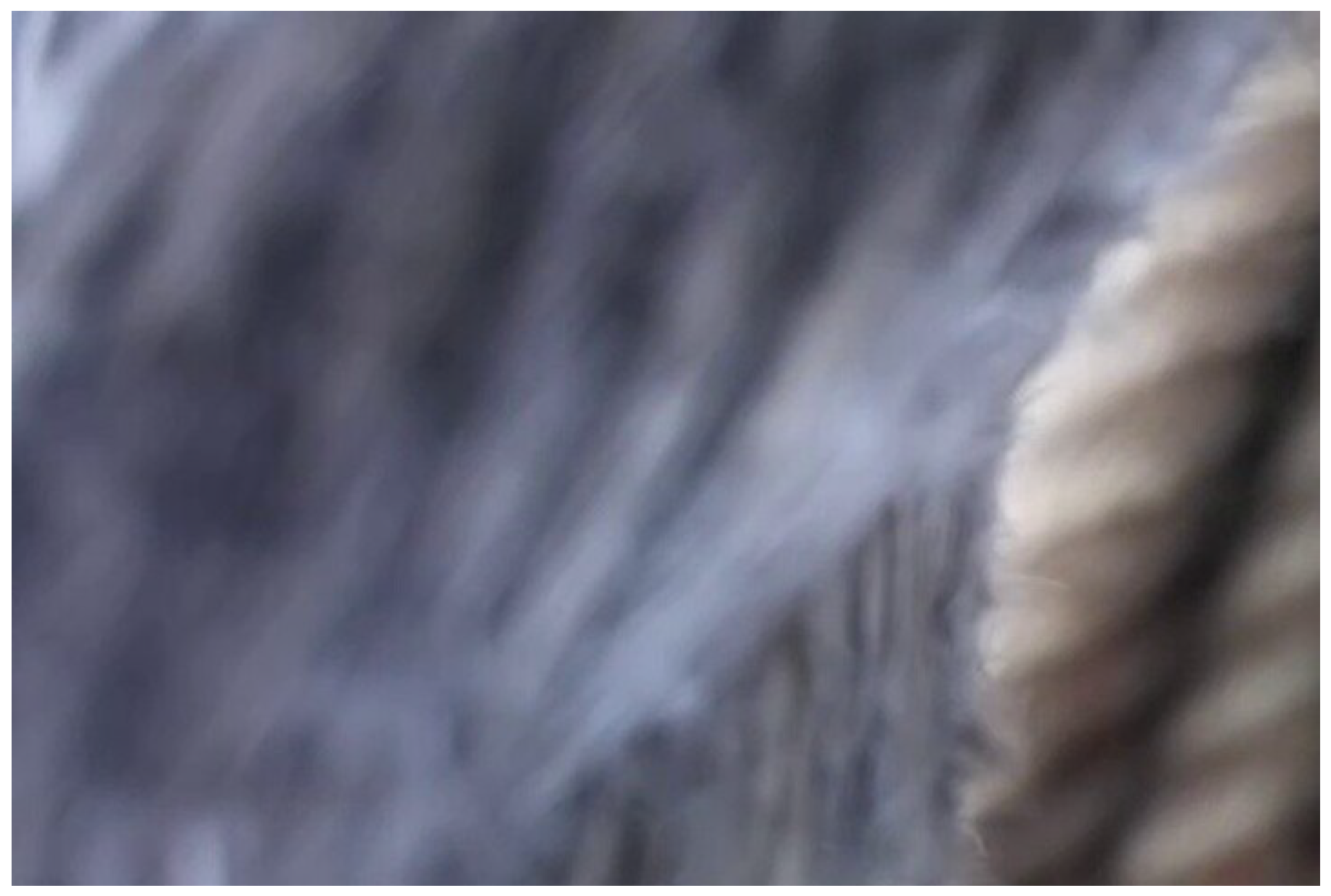 Jmse 13 02101 g015