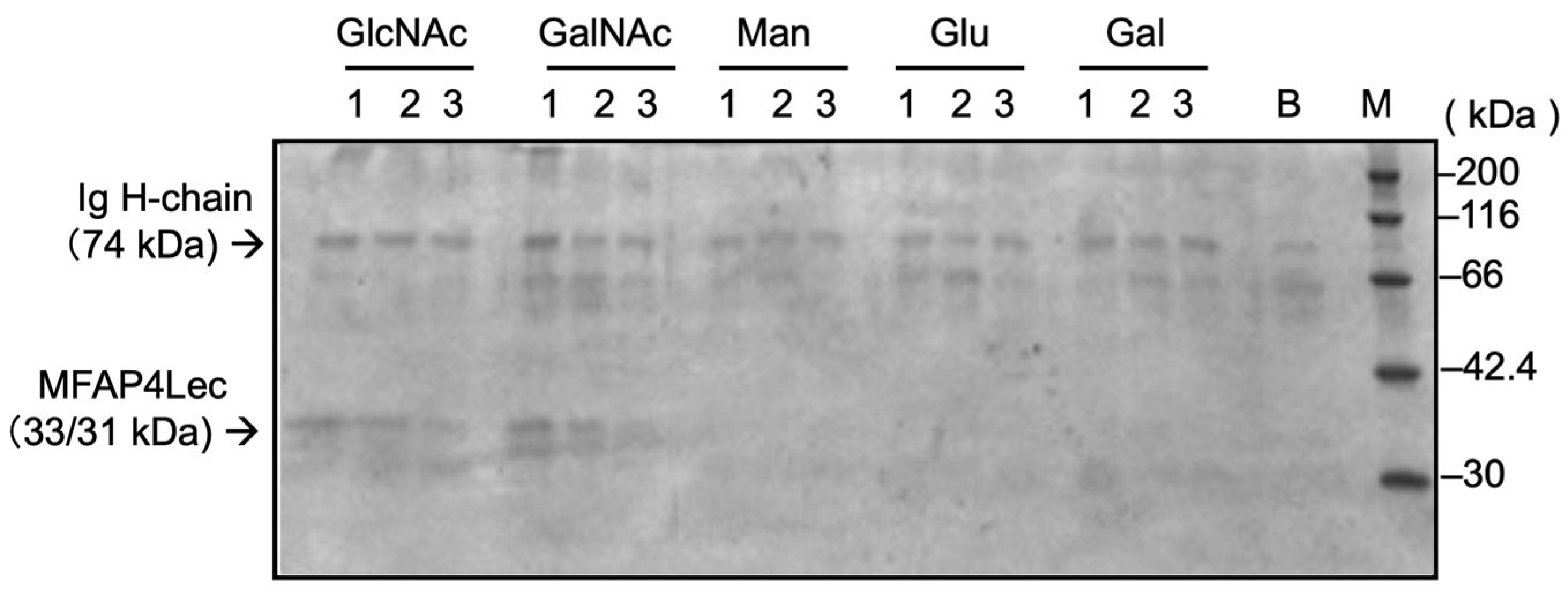 Jmse 14 00044 g004