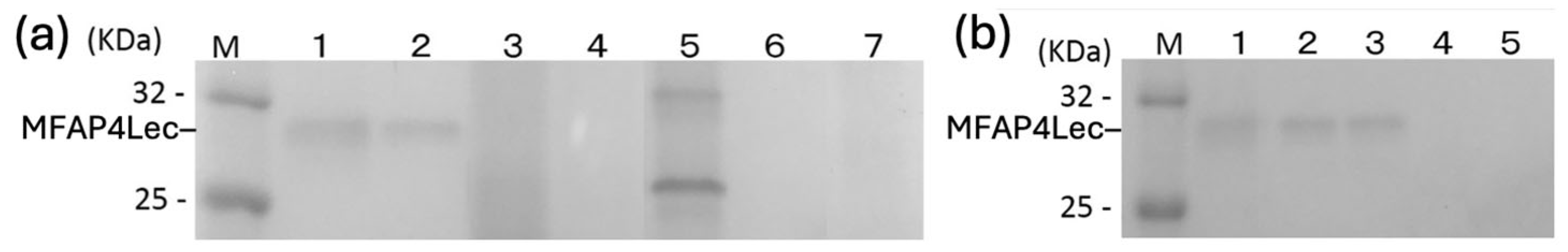 Jmse 14 00044 g005