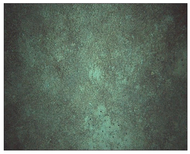 Jmse 14 01160 i001 Jmse 14 01160 i001
