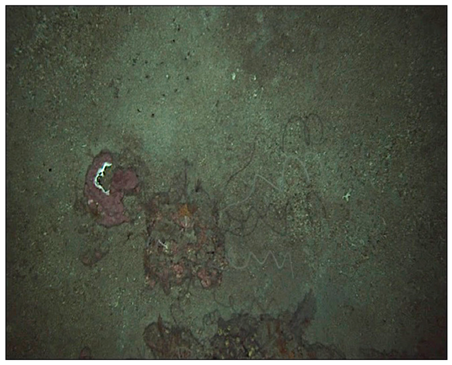 Jmse 14 01160 i002 Jmse 14 01160 i002