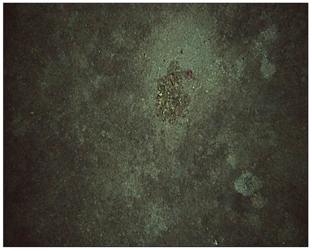 Jmse 14 01160 i003 Jmse 14 01160 i003