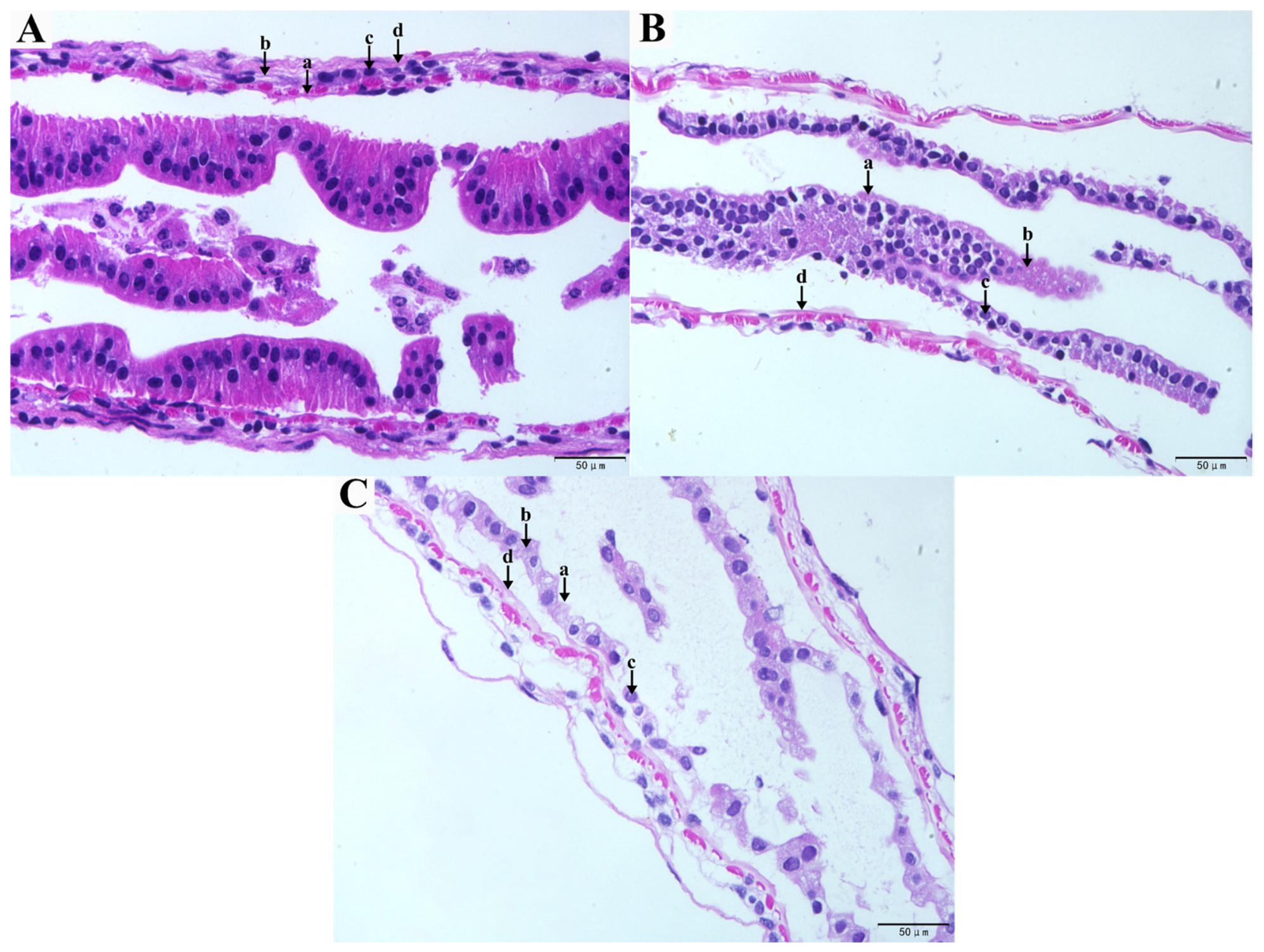 Jmse 14 01803 g001 Jmse 14 01803 g001