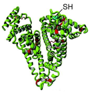 Jnt 02 00005 i009 Jnt 02 00005 i009