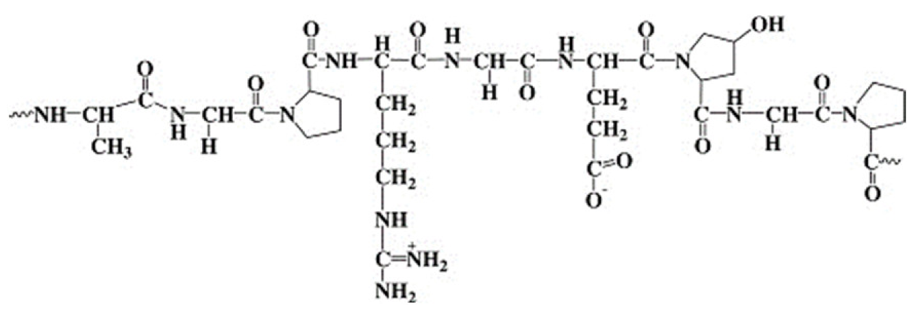 Jnt 02 00005 i010 Jnt 02 00005 i010