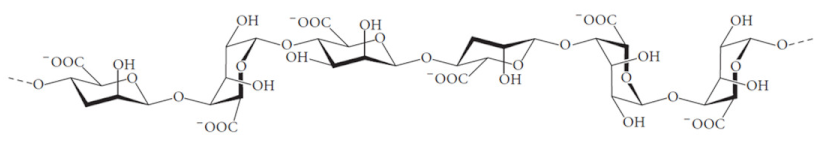 Jnt 02 00005 i011 Jnt 02 00005 i011