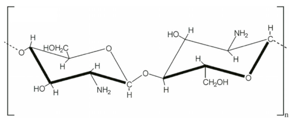 Jnt 02 00005 i012 Jnt 02 00005 i012