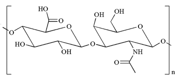 Jnt 02 00005 i013 Jnt 02 00005 i013