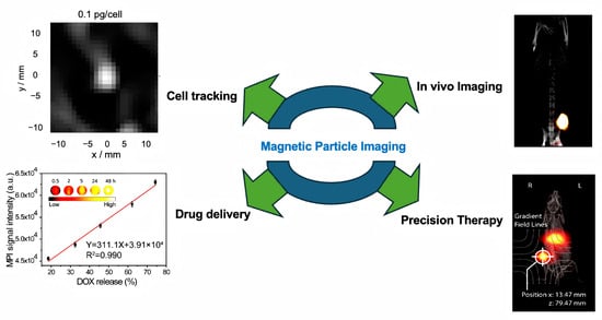 Principles and signal generation in magnetic particle imaging (MPI). (A) Schematic of the Berkeley MPI scanner setup. Image acquisition resembles projection scintigraphy, where magnetic nanoparticles traversing the field-free line (FFL) respond to an applied drive field (20 kHz, 20 mT). (B) Conceptual overview of a standard MPI scanner. Two large opposing rings generate a static selection field via d.c. currents, creating a central field-free point (FFP). The same rings also act as drive coils by superimposing a.c. currents on the d.c. field, while surrounding harmonic detection coils capture the particle response. (C) Design of an MPI system that encodes signals solely through drive fields. It incorporates dual selection field generators and three orthogonal pairs of drive coils to shift the FFP throughout the imaging volume. (D,E) Magnetization response of superparamagnetic particles. (D) Under an alternating magnetic field (H, green), the nonlinear magnetization (M, black) produces a time-dependent response (red) with distinct higher harmonics. (E) In contrast, a constant magnetic field drives the particles into saturation, yielding negligible harmonic content for image reconstruction (grey box). Reproduced with permission from Ref. [18]. Copyright 2018 American Chemical Society and from Ref. [10]. Copyright 2005 Springer Nature.