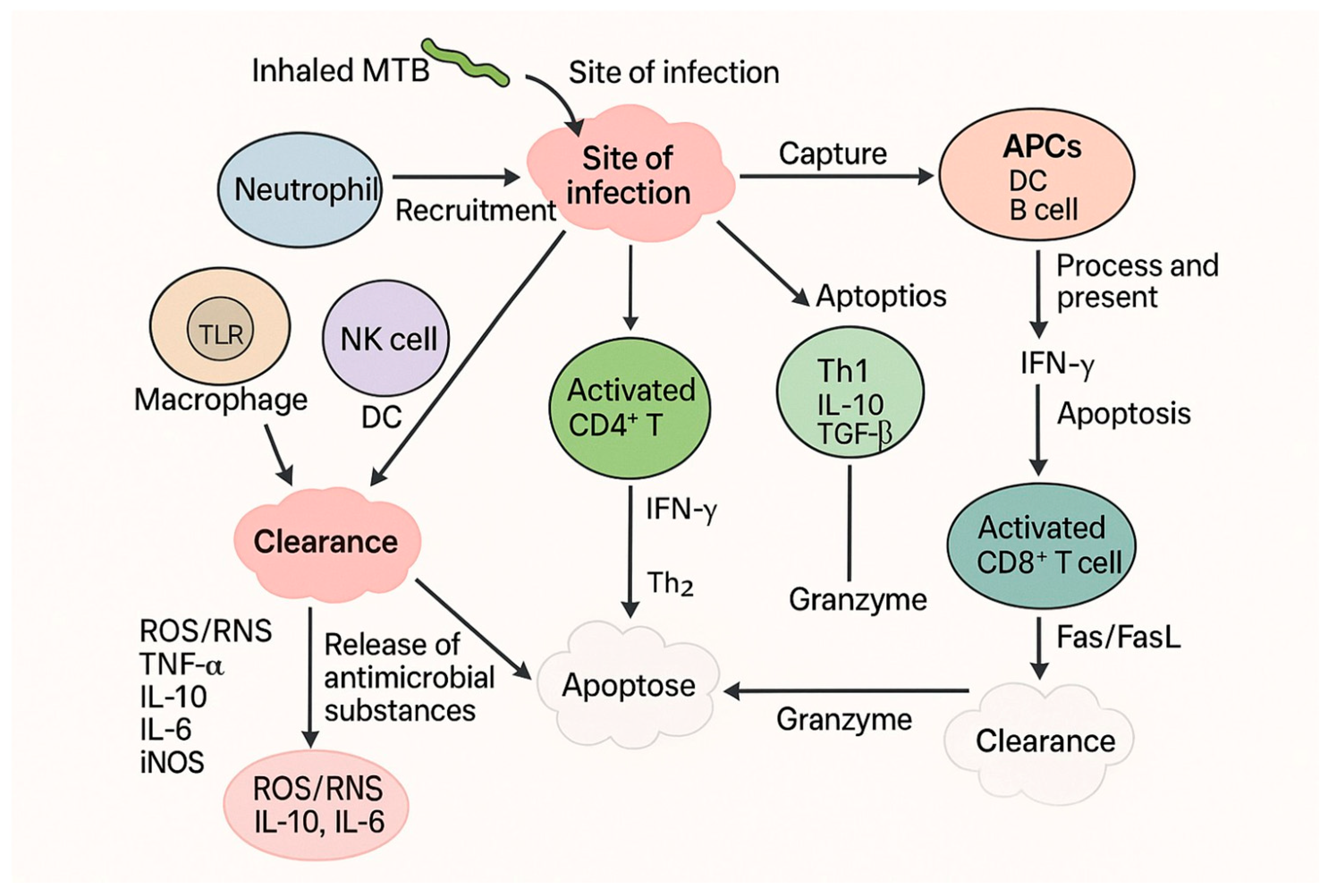 Jnt 06 00033 g006 Jnt 06 00033 g006