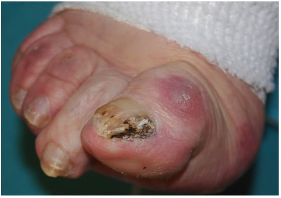 Jof 01 00030 g003 550